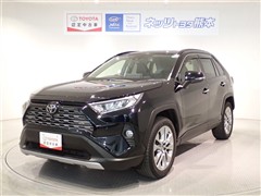 RAV4 G Zパッケージ