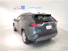 RAV4 G