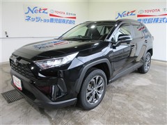 RAV4 X