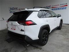 RAV4 アドベンチャー オフロート