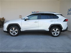 RAV4 HEV G