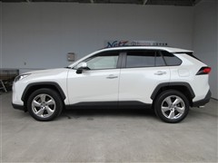 RAV4 G