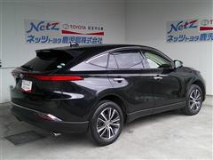 ハリアー G レザーパッケージ