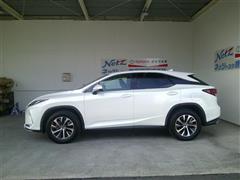 RX300 ヒョウジュンシャ