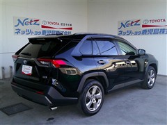 RAV4 HEV G