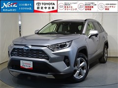 RAV4 ハイブリッドG