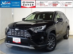 RAV4 G