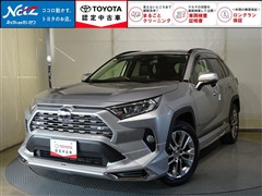 RAV4 G Zパッケージ