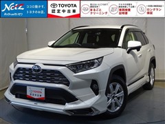 RAV4 G