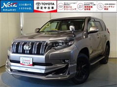ランドクルーザープラド TZ-G