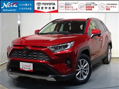 RAV4 G