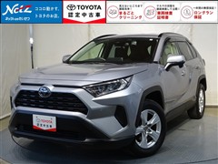 RAV4 X