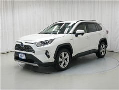 RAV4HEV G