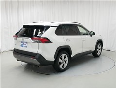 RAV4 G