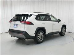 RAV4 G