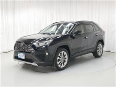 RAV4 G Zパッケージ