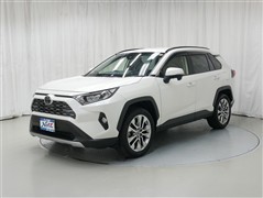 RAV4 G Zパッケージ