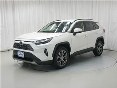 RAV4HEV G
