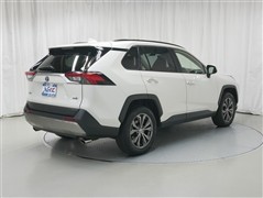 RAV4HEV G