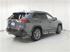 RAV4 PHV GZ