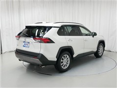 RAV4 G