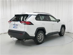 RAV4 X