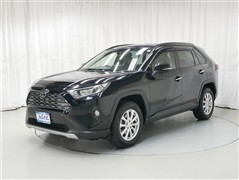RAV4 G