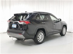 RAV4 G