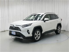 RAV4HEV G