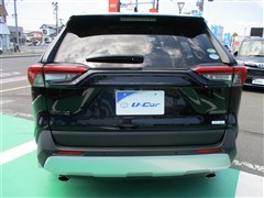 RAV4 アドベンチャー