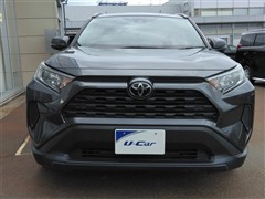 RAV4 X