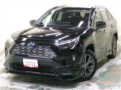 RAV4 ハイブリッドG 4WD