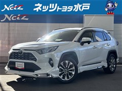 RAV4 G Zパッケージ