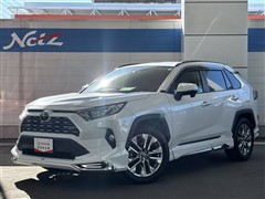 RAV4 G Zパッケージ