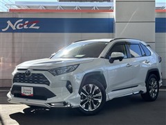 RAV4 G Zパッケージ