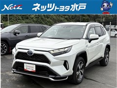 RAV4 PHV G