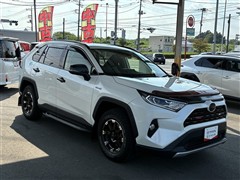 RAV4 ハイブリッドG