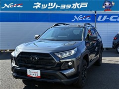 RAV4 アドベンチャー オフロート