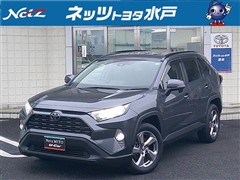 RAV4 X