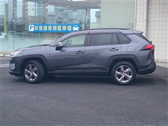 RAV4 X