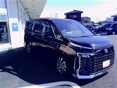 ヴォクシー S-Z