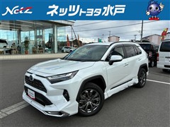 RAV4 ハイブリッドG