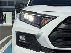 RAV4 アドベンチャー オフロート