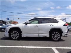 RAV4 G Zパッケージ