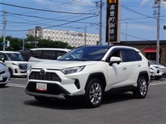 RAV4 G Zパッケージ