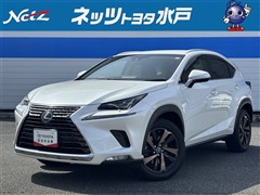 NX300h バージョンL