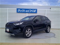 RAV4 G