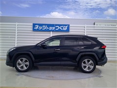 RAV4 G