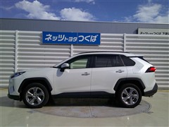 RAV4 G