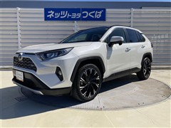 RAV4 G